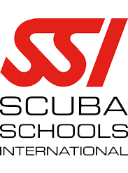 SSI-Logo