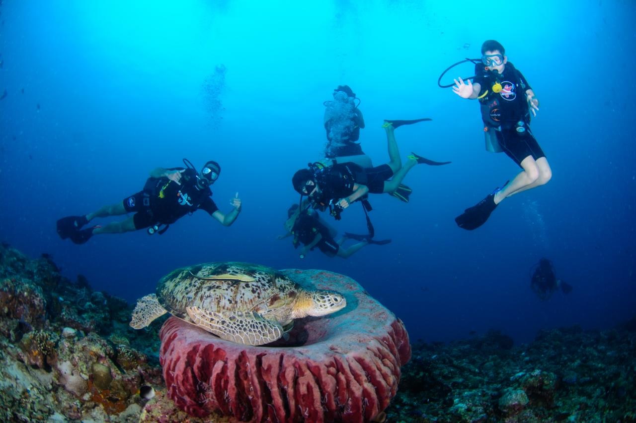 Buceo para Familias en Koh Lanta