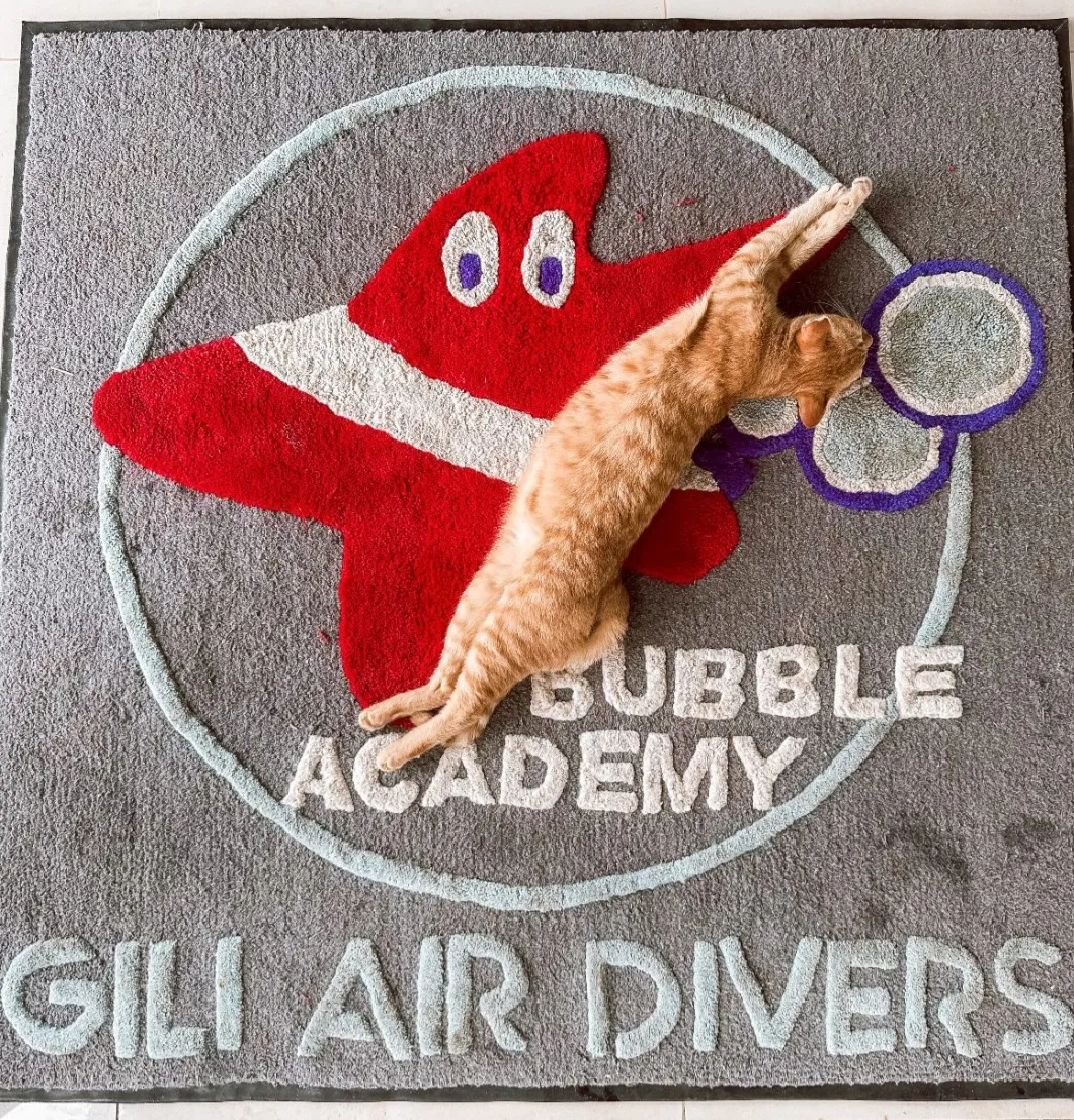 Bubble — Hauseigene Tauchkatze