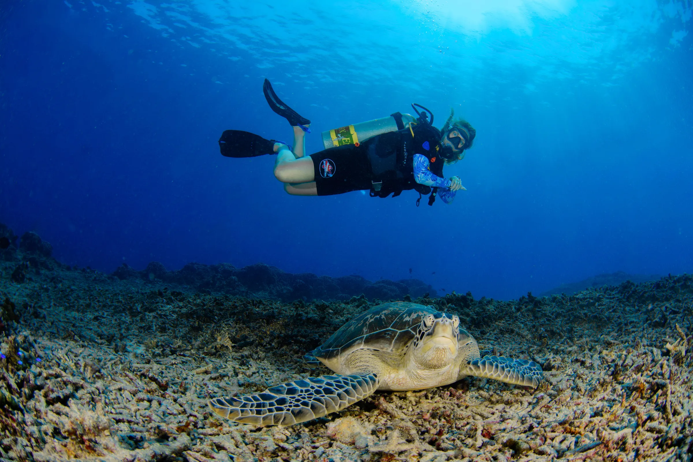 Diver swimming calmly alongside a sea turtle at the same depth