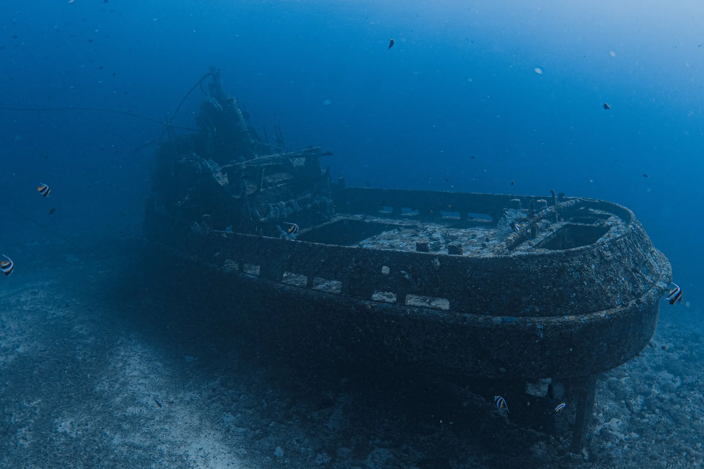 Dive sites — the three Gilis, the offshore pinnacles, and Lombok muck