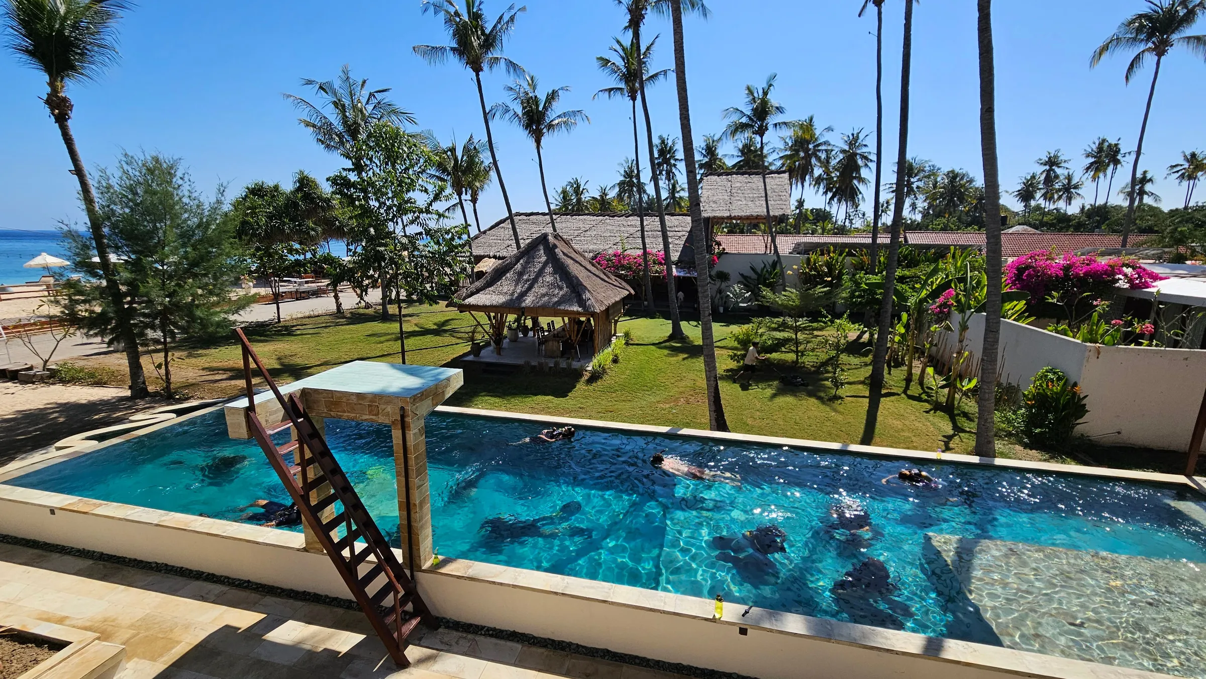 Resort pool with palm trees